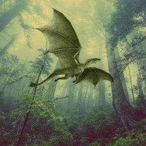 dragon, dragons, monster-3462724.jpg