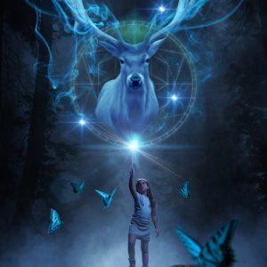 girl, magician, butterflies-5882320.jpg